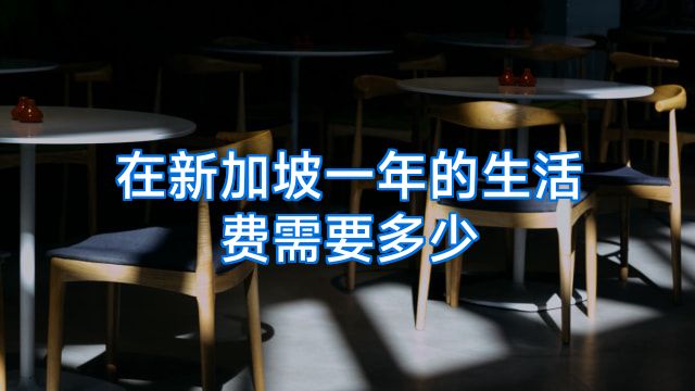 在新加坡一年的生活费需要多少