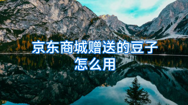 京东商城赠送的豆子怎么用