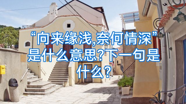 “向来缘浅,奈何情深”是什么意思?下一句是什么?