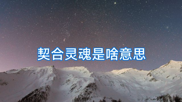 契合灵魂是啥意思