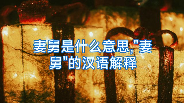妻舅是什么意思,