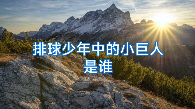 排球少年中的小巨人是谁