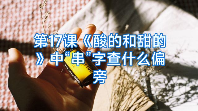 第17课《酸的和甜的》中“串”字查什么偏旁