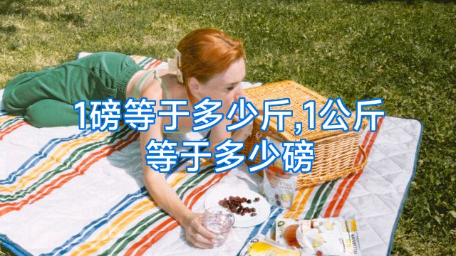 1磅等于多少斤,1公斤等于多少磅