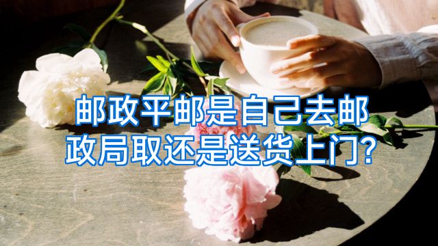 邮政平邮是自己去邮政局取还是送货上门?