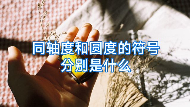 同轴度和圆度的符号分别是什么