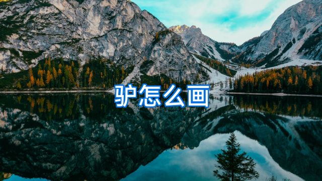 驴怎么画