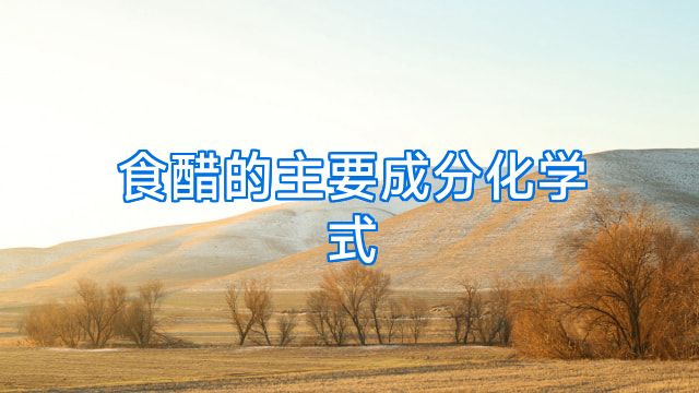 食醋的主要成分化学式