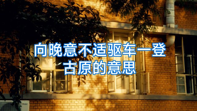 向晚意不适驱车一登古原的意思