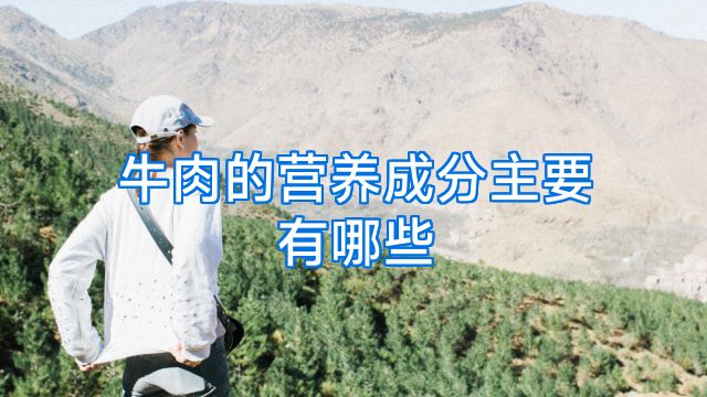 牛肉的营养成分主要有哪些