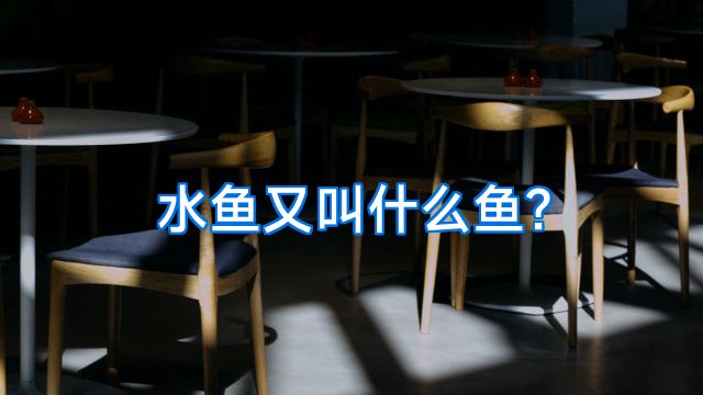 水鱼又叫什么鱼?