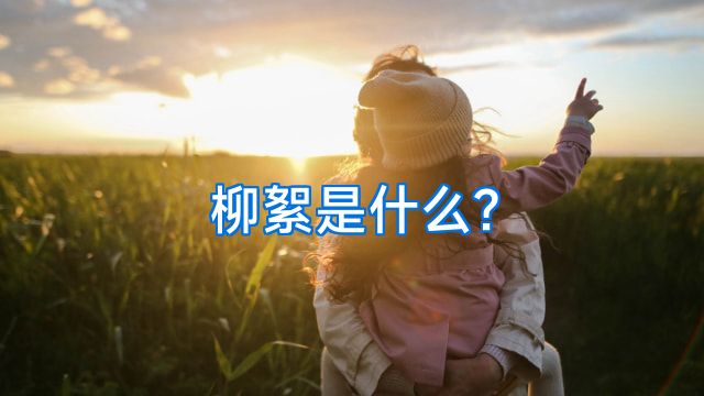 柳絮是什么?