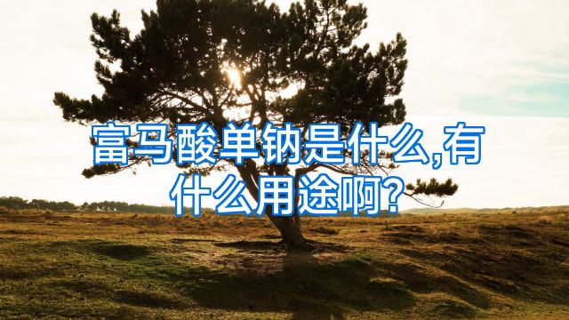 富马酸单钠是什么,有什么用途啊?