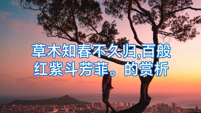 草木知春不久归,百般红紫斗芳菲。的赏析