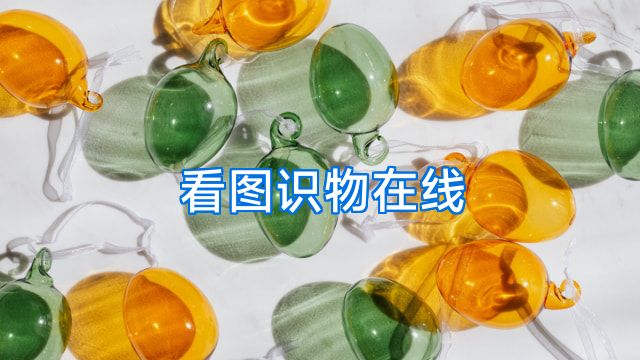 看图识物在线