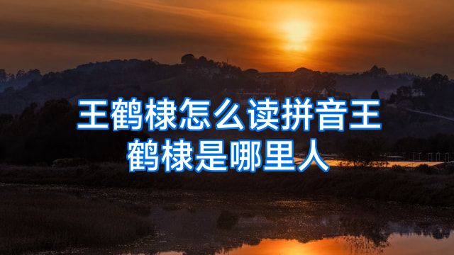 王鹤棣怎么读拼音王鹤棣是哪里人