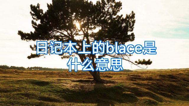 日记本上的blace是什么意思