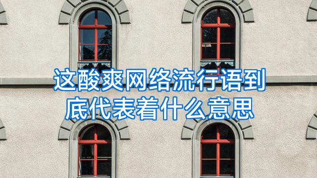 这酸爽网络流行语到底代表着什么意思