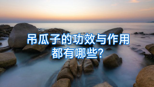 吊瓜子的功效与作用都有哪些?