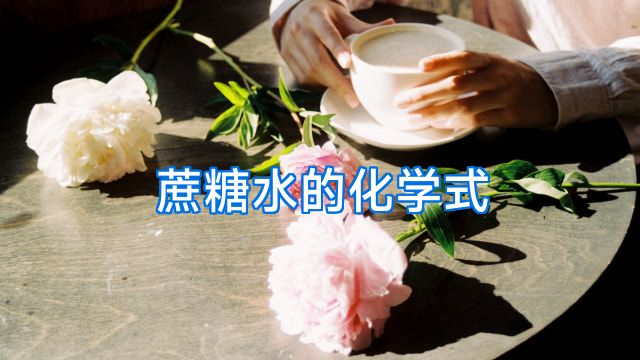 蔗糖水的化学式
