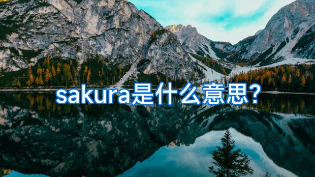 sakura是什么意思?
