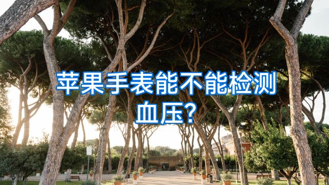 苹果手表能不能检测血压?
