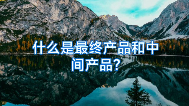 什么是最终产品和中间产品?