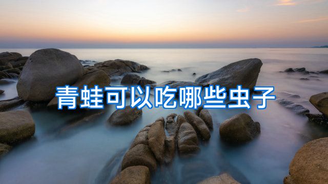 青蛙可以吃哪些虫子