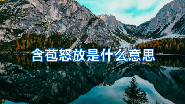 含苞怒放是什么意思