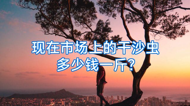 现在市场上的干沙虫多少钱一斤?