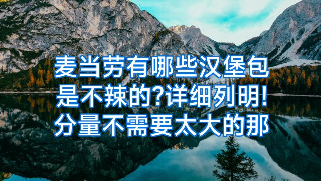 麦当劳有哪些汉堡包是不辣的?详细列明!分量不需要太大的那