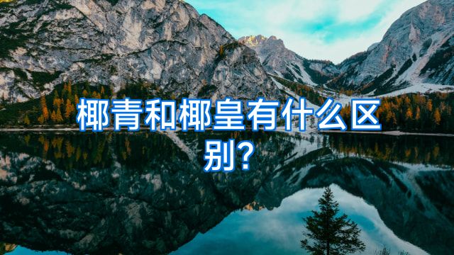 椰青和椰皇有什么区别?