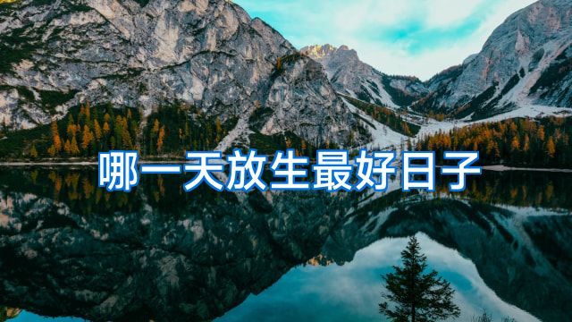 哪一天放生最好日子