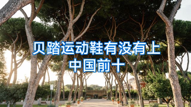 贝踏运动鞋有没有上中国前十