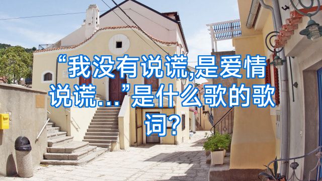 “我没有说谎,是爱情说谎…”是什么歌的歌词?