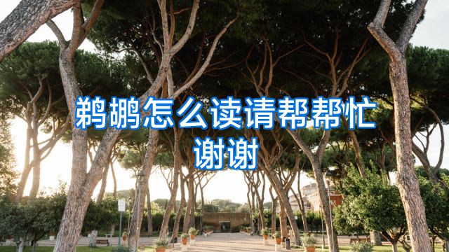 鹈鹕怎么读请帮帮忙谢谢