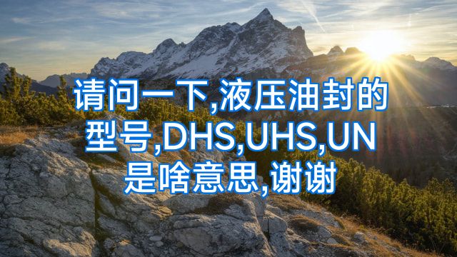 请问一下,液压油封的型号,DHS,UHS,UN是啥意思,谢谢