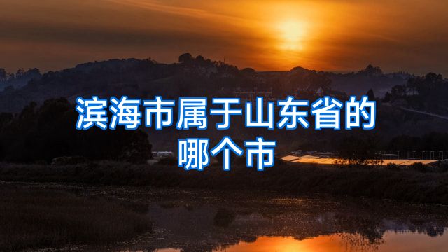 滨海市属于山东省的哪个市