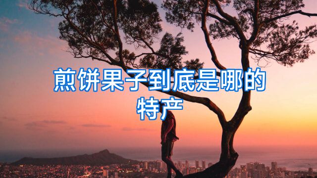 煎饼果子到底是哪的特产