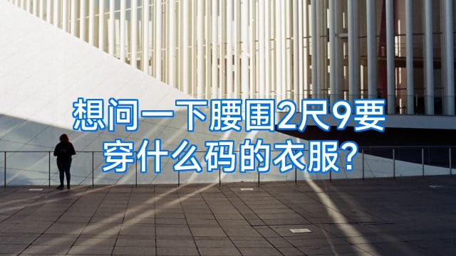 想问一下腰围2尺9要穿什么码的衣服?