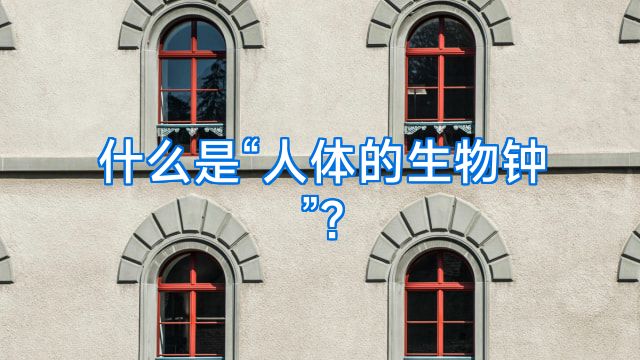 什么是“人体的生物钟”?