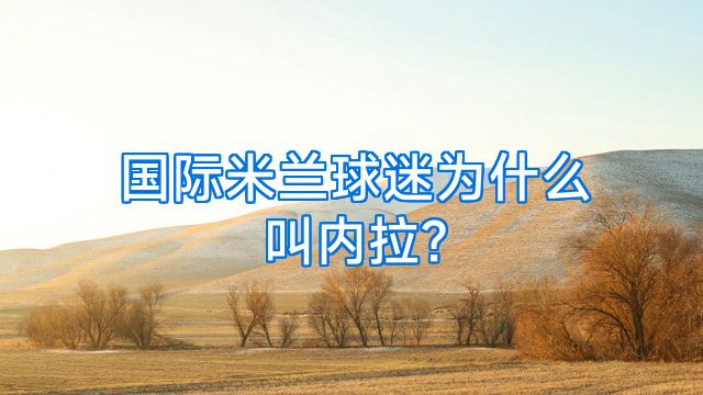 国际米兰球迷为什么叫内拉?