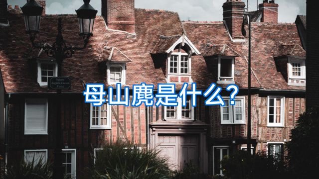 母山麂是什么?
