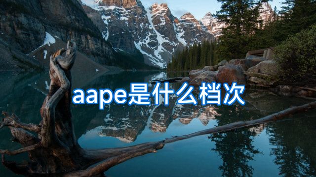 aape是什么档次