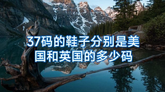 37码的鞋子分别是美国和英国的多少码