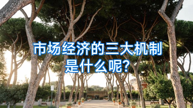 市场经济的三大机制是什么呢?