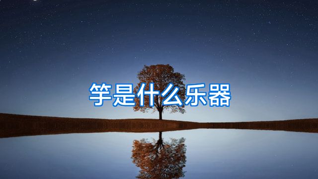 竽是什么乐器