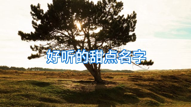好听的甜点名字