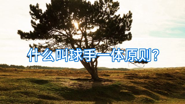 什么叫球手一体原则?