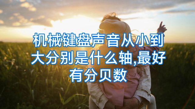 机械键盘声音从小到大分别是什么轴,最好有分贝数